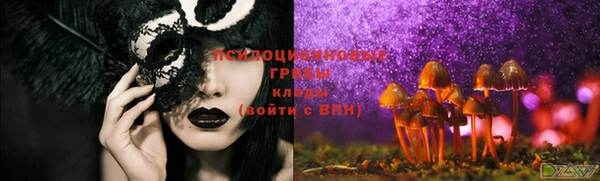 PSILOCYBIN Заволжье