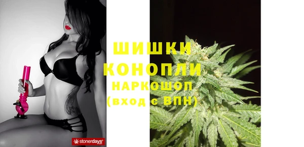 PSILOCYBIN Заволжье