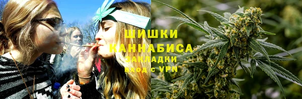 первитин Заводоуковск