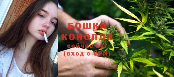 PSILOCYBIN Заволжье