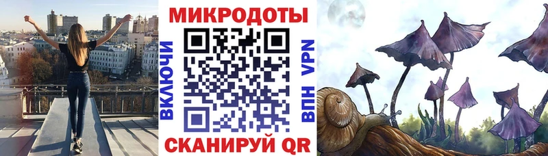как найти наркотики MEGA Галлюциногенные грибы Cubensis Сердобск