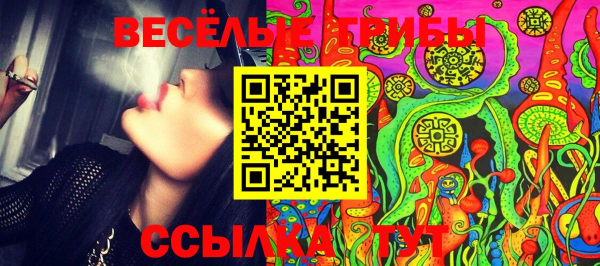 Сердобск  Псилоцибиновые грибы ЛСД  Вход с VPN  Галлюциногенные грибы MAGIC MUSHROOMS 